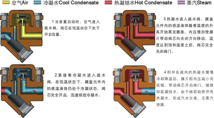 進口熱靜力膜盒式蒸汽疏水閥3.jpg