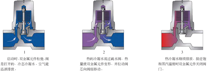 進口雙金屬疏水閥系統3.jpg